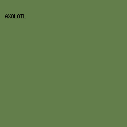 637E4B - Axolotl color image preview