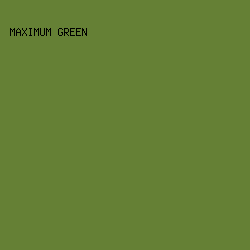658035 - Maximum Green color image preview