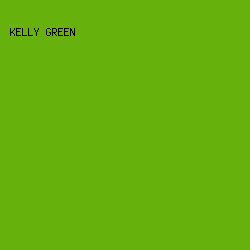 66B10B - Kelly Green color image preview