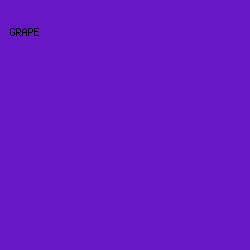 6717C4 - Grape color image preview