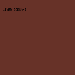 673228 - Liver [Organ] color image preview