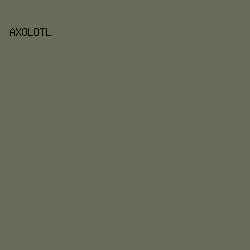 696A58 - Axolotl color image preview