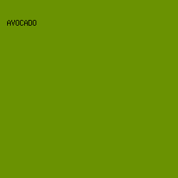 6A9202 - Avocado color image preview