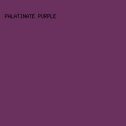 6B315E - Palatinate Purple color image preview