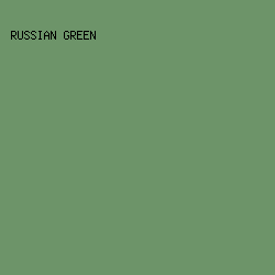 6D9469 - Russian Green color image preview