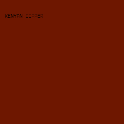6E1700 - Kenyan Copper color image preview