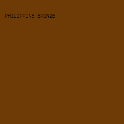 6E3B07 - Philippine Bronze color image preview
