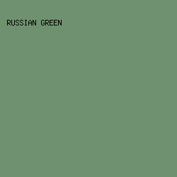 6F916F - Russian Green color image preview