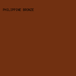 713011 - Philippine Bronze color image preview