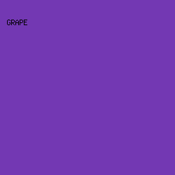 7338B3 - Grape color image preview