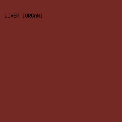 742924 - Liver [Organ] color image preview