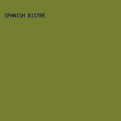 748030 - Spanish Bistre color image preview