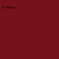 76121A - UP Maroon color image preview
