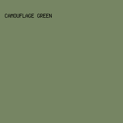 768563 - Camouflage Green color image preview