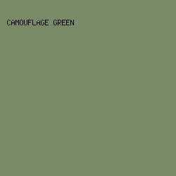 798A66 - Camouflage Green color image preview