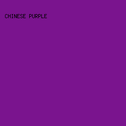 7A148E - Chinese Purple color image preview
