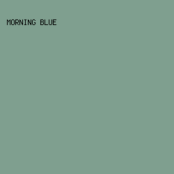 7F9F8F - Morning Blue color image preview