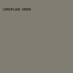 807E72 - Camouflage Green color image preview