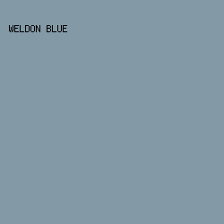 8399A6 - Weldon Blue color image preview