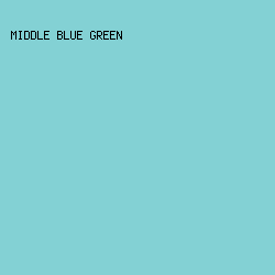 83D1D4 - Middle Blue Green color image preview