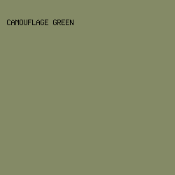 848A66 - Camouflage Green color image preview
