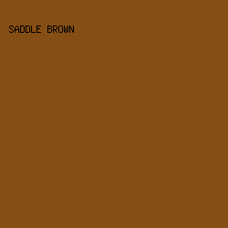 854E14 - Saddle Brown color image preview