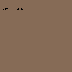 866B56 - Pastel Brown color image preview
