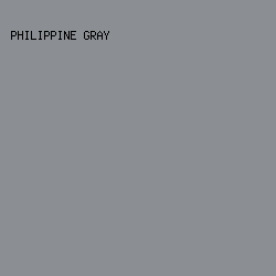 8B8E92 - Philippine Gray color image preview