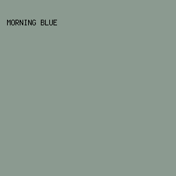 8B9A90 - Morning Blue color image preview