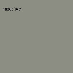 8C8D83 - Middle Grey color image preview