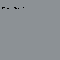 8C9195 - Philippine Gray color image preview