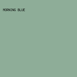 8EAD98 - Morning Blue color image preview