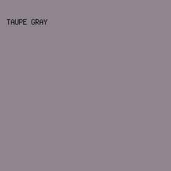 8F868D - Taupe Gray color image preview