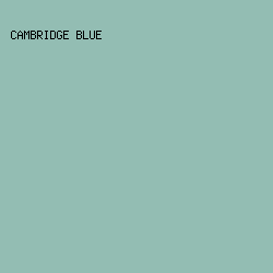 93BDB3 - Cambridge Blue color image preview