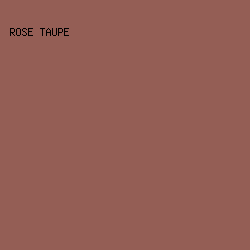 945E55 - Rose Taupe color image preview