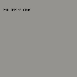 94938F - Philippine Gray color image preview