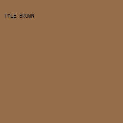 956D4B - Pale Brown color image preview