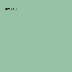 98C2A6 - Eton Blue color image preview