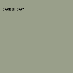 999F8A - Spanish Gray color image preview