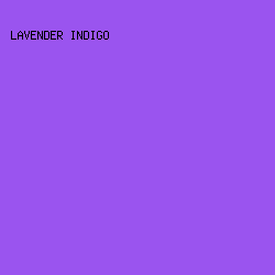 9A54EF - Lavender Indigo color image preview