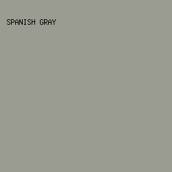 9A9C92 - Spanish Gray color image preview
