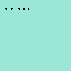 9AE6D7 - Pale Robin Egg Blue color image preview