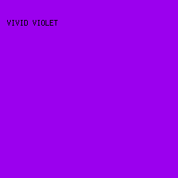 9B00EE - Vivid Violet color image preview