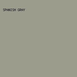 9B9C8B - Spanish Gray color image preview