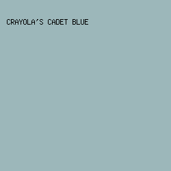9CB7BA - Crayola's Cadet Blue color image preview