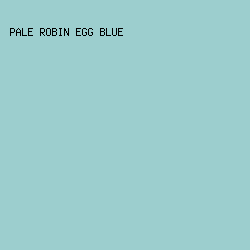 9CCECE - Pale Robin Egg Blue color image preview