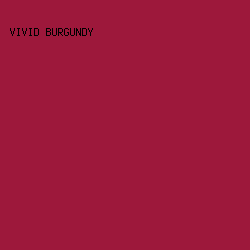 9D183B - Vivid Burgundy color image preview