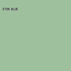 9DBF9C - Eton Blue color image preview
