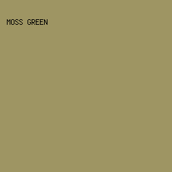 9E9563 - Moss Green color image preview