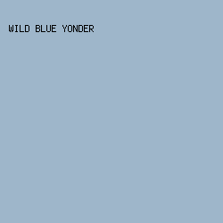 9EB6CA - Wild Blue Yonder color image preview